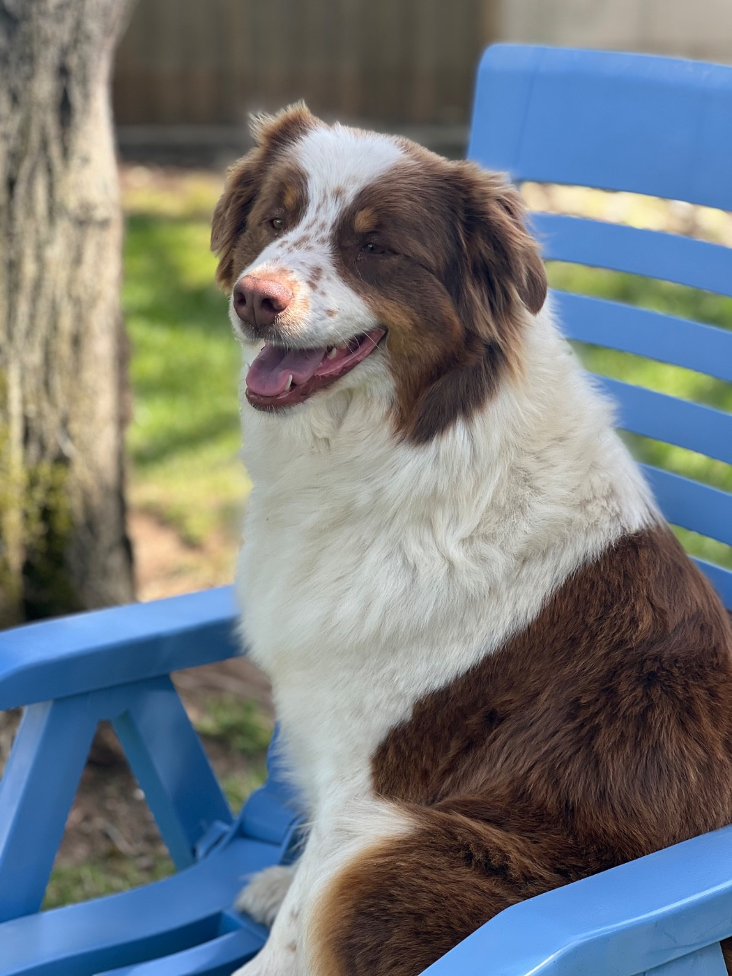 Taiga du Feeling de Nolister